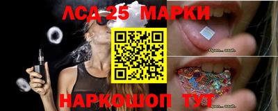 прущие грибы Можайск