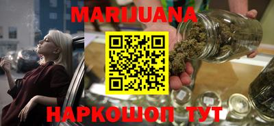 прущие грибы Можайск