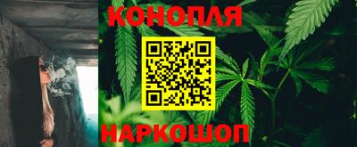 СК Можга