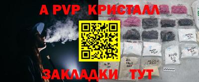 прущие грибы Можайск