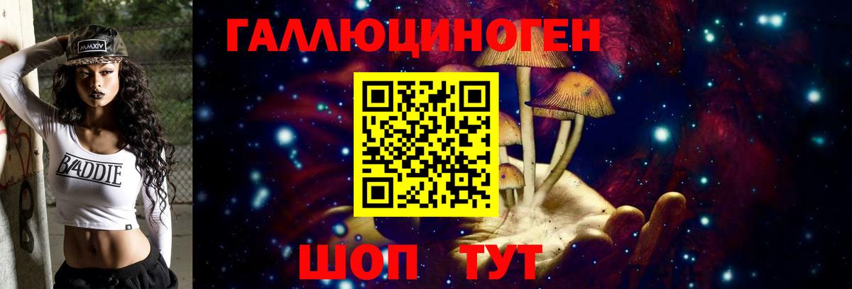 где можно купить   Галлюциногенные грибы Cubensis  Вход с VPN  Чусовой 